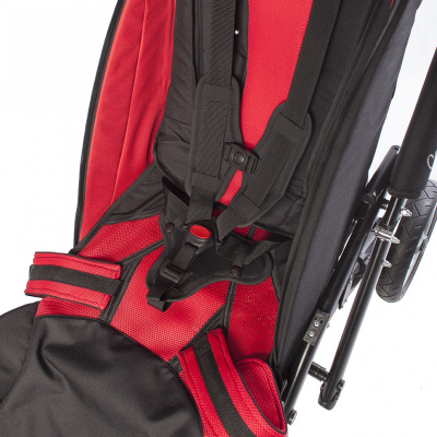 Пятиточечный ремень